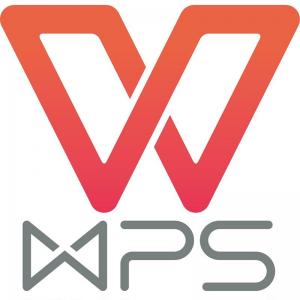 金山 WPS Office 2019 for linux专业版办公软件V11办公套件  在售